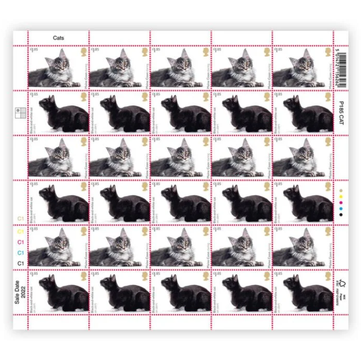 Cats £1.85 Sheet - 30 High Value Stamps