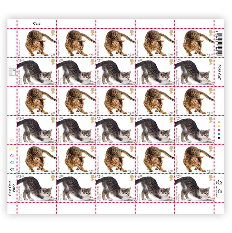 Cats £2.55 Sheet - 30 High Value Stamps